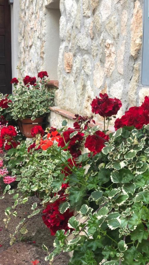 La Casetta Di Elena Lamezia Terme Buitenkant foto